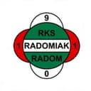 Logo: Radomiak Radom